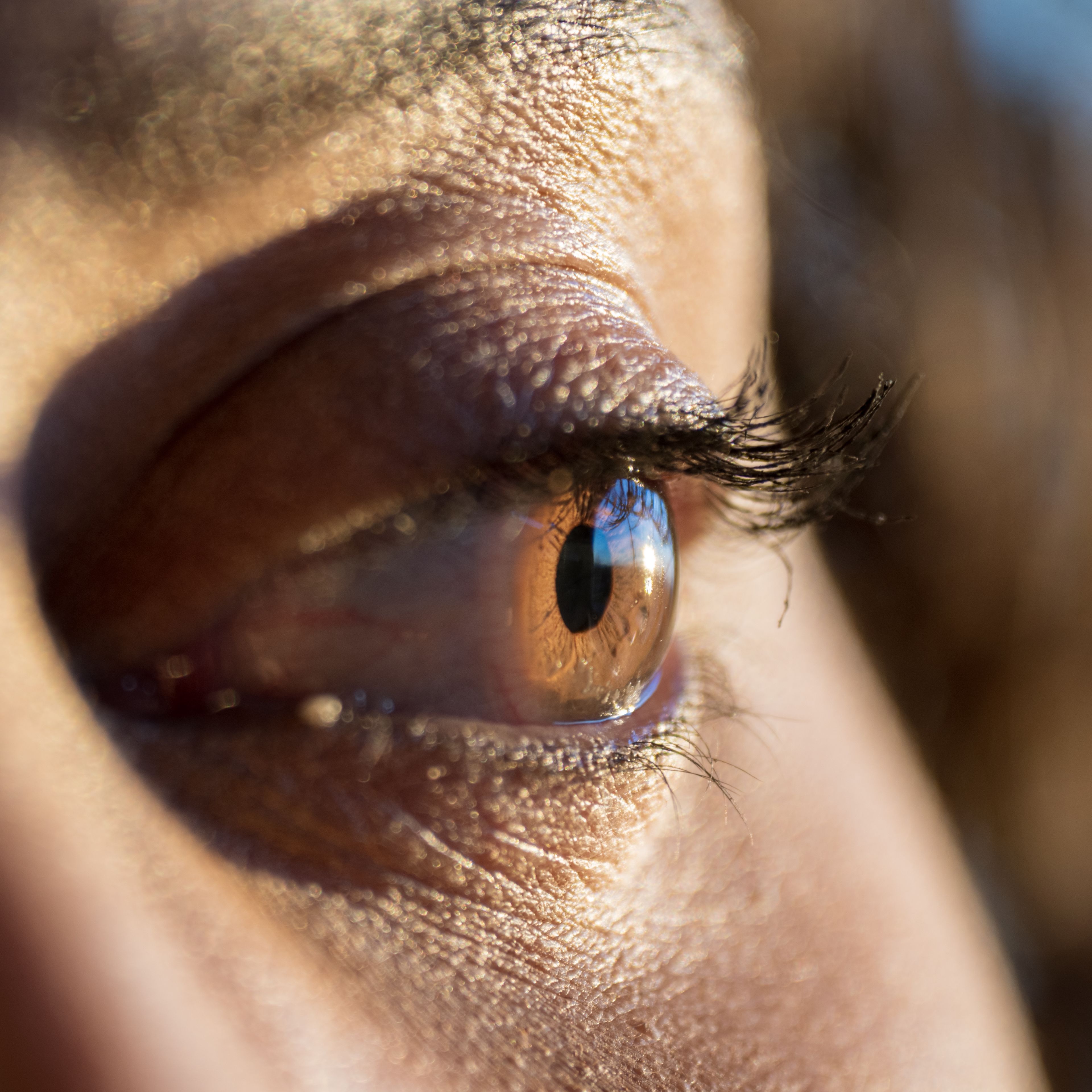 Macro close-up of an iris catching the studio lights.