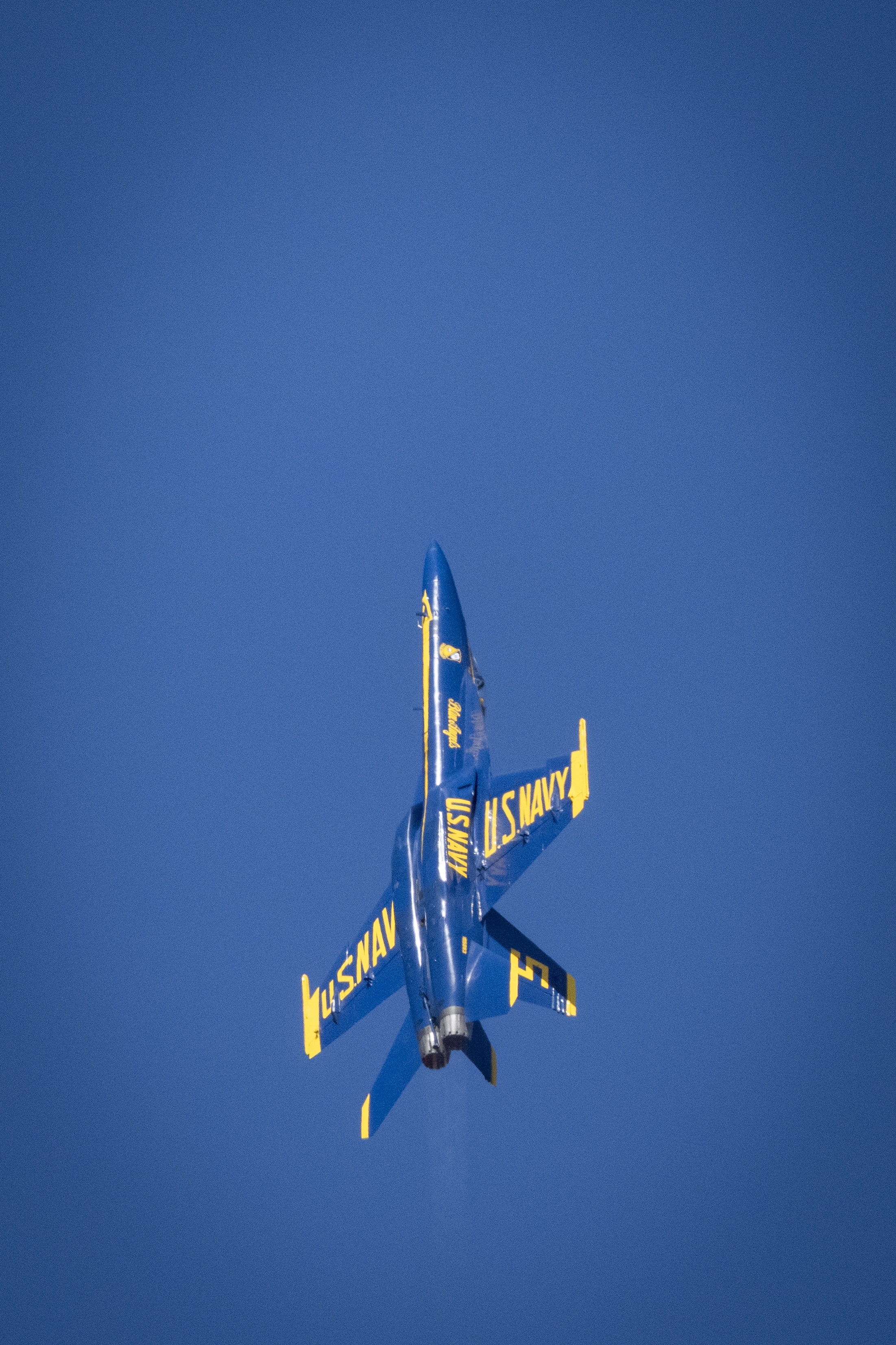 A Blue Angels jet climbs nearly straight up through the blue sky.