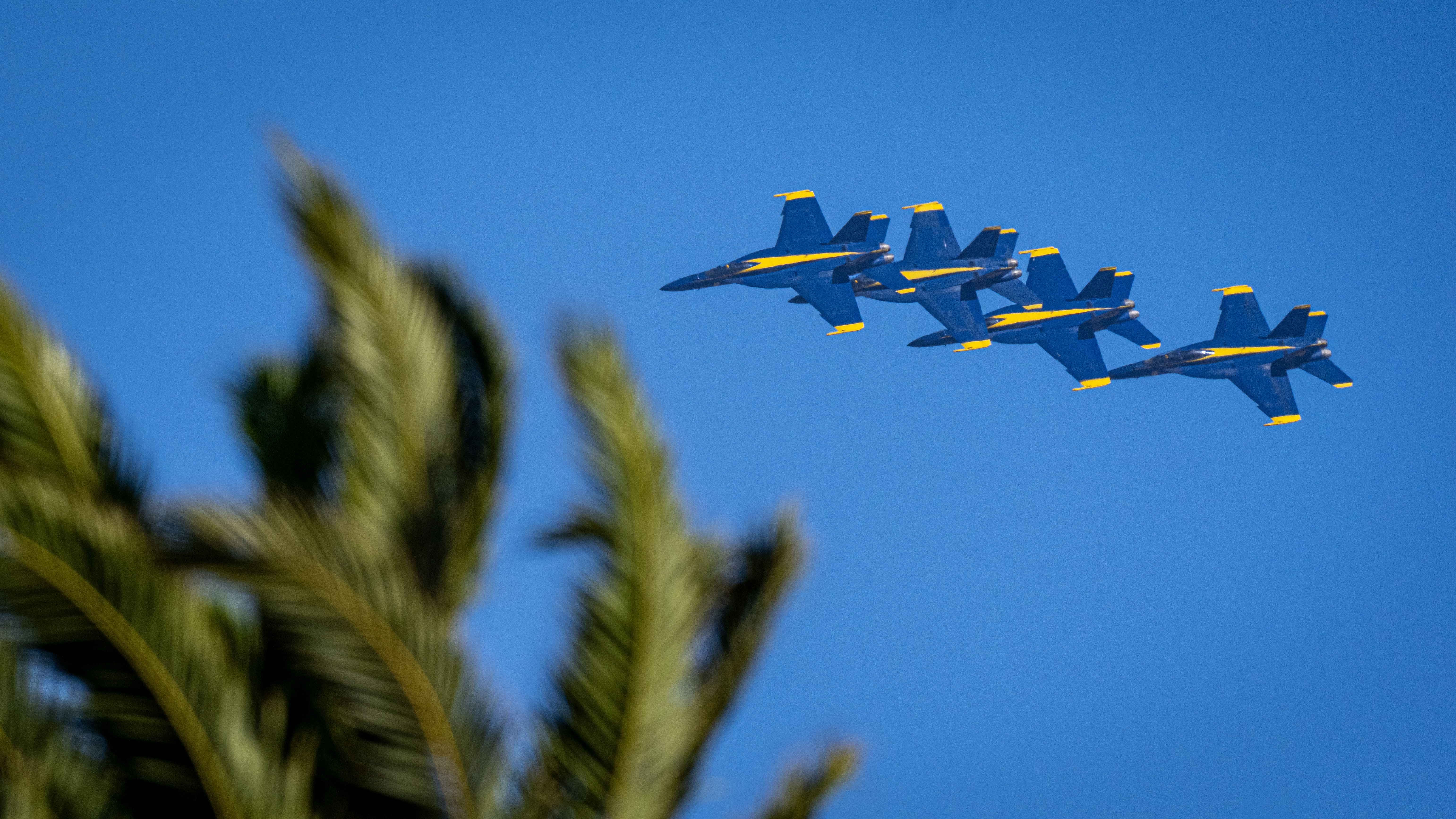 Blue Angels jets fly overhead, framed by blurred palm fronds in the foreground.