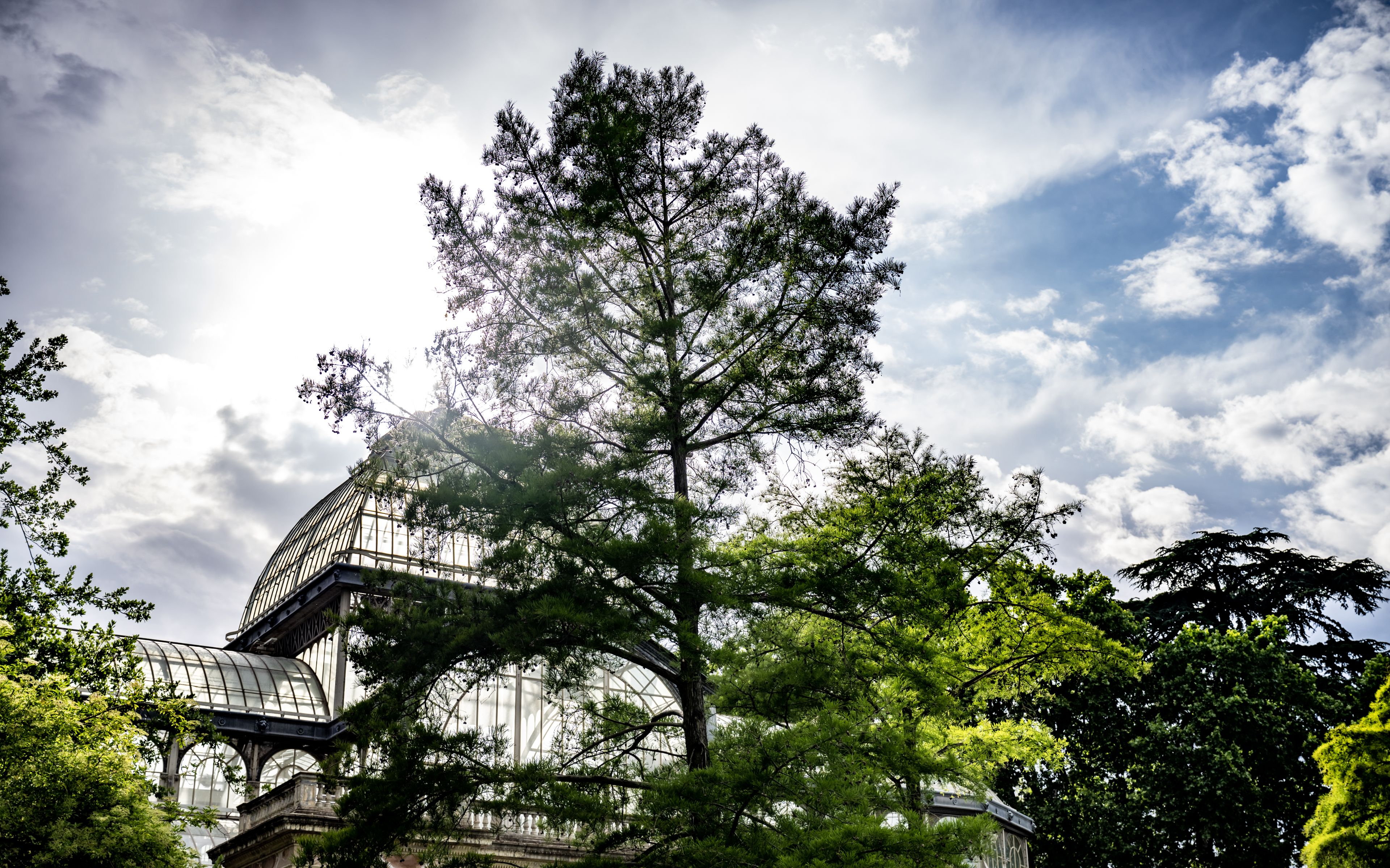 The image shows a glass structure partially obscured by trees under a cloudy sky.
