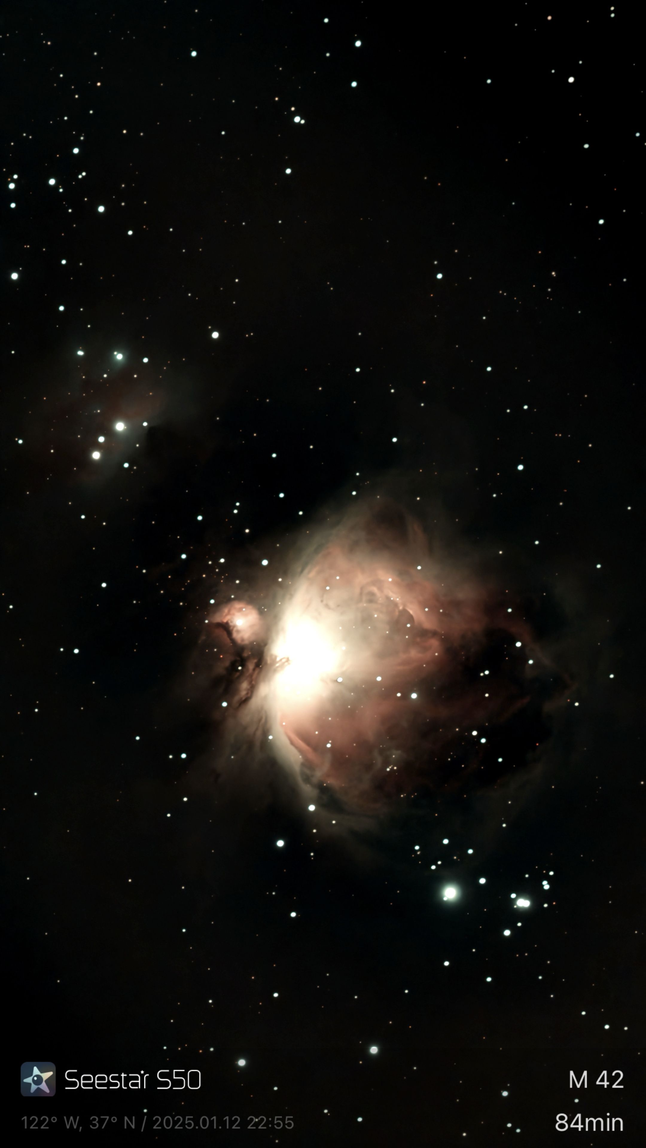 Dust lanes and emission clouds in the Orion region.