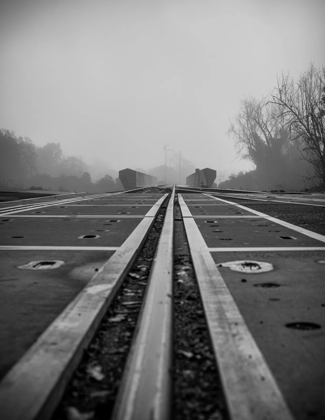 Low-angle black-and-white view along railroad rails on a steel bridge deck, with concrete barriers, bare trees, and utility poles fading into fog.