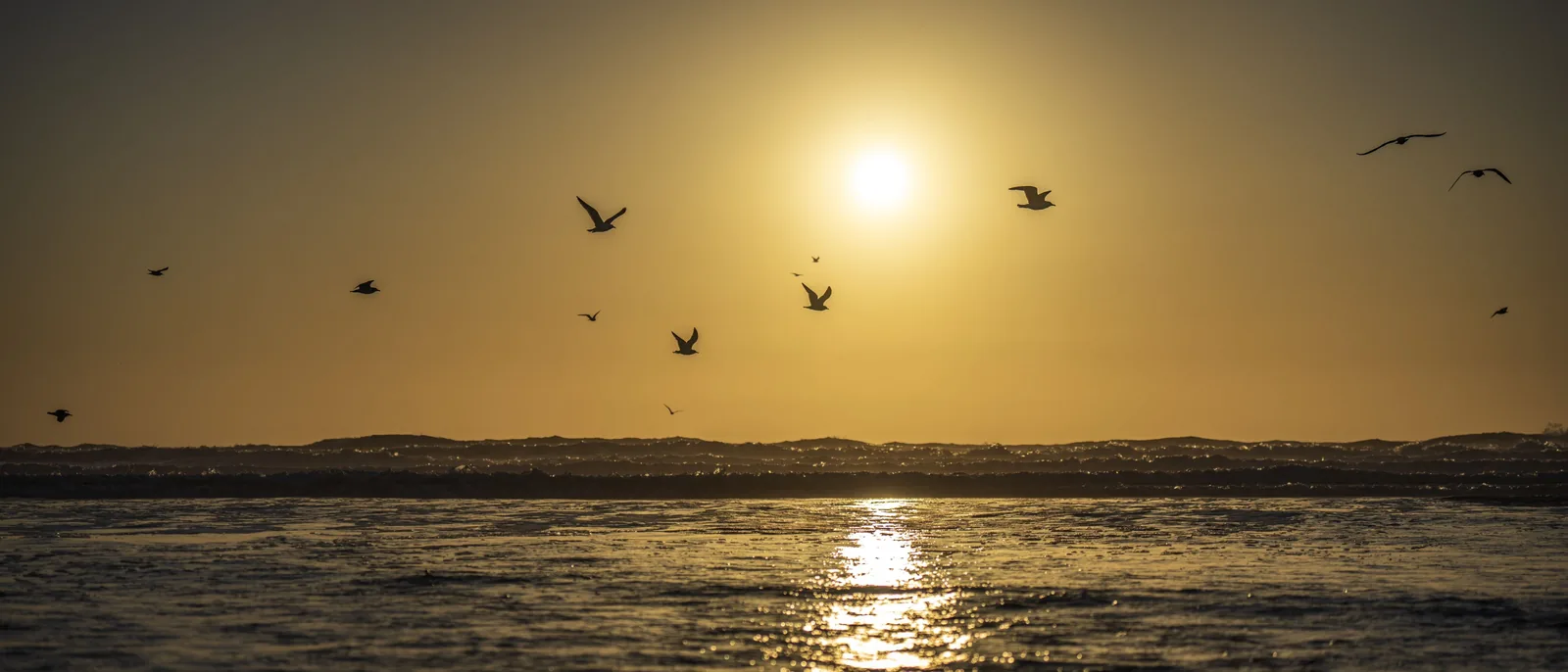 Wide coastal view with scattered birds across the sky, rolling waves, and a bright reflection on the water.