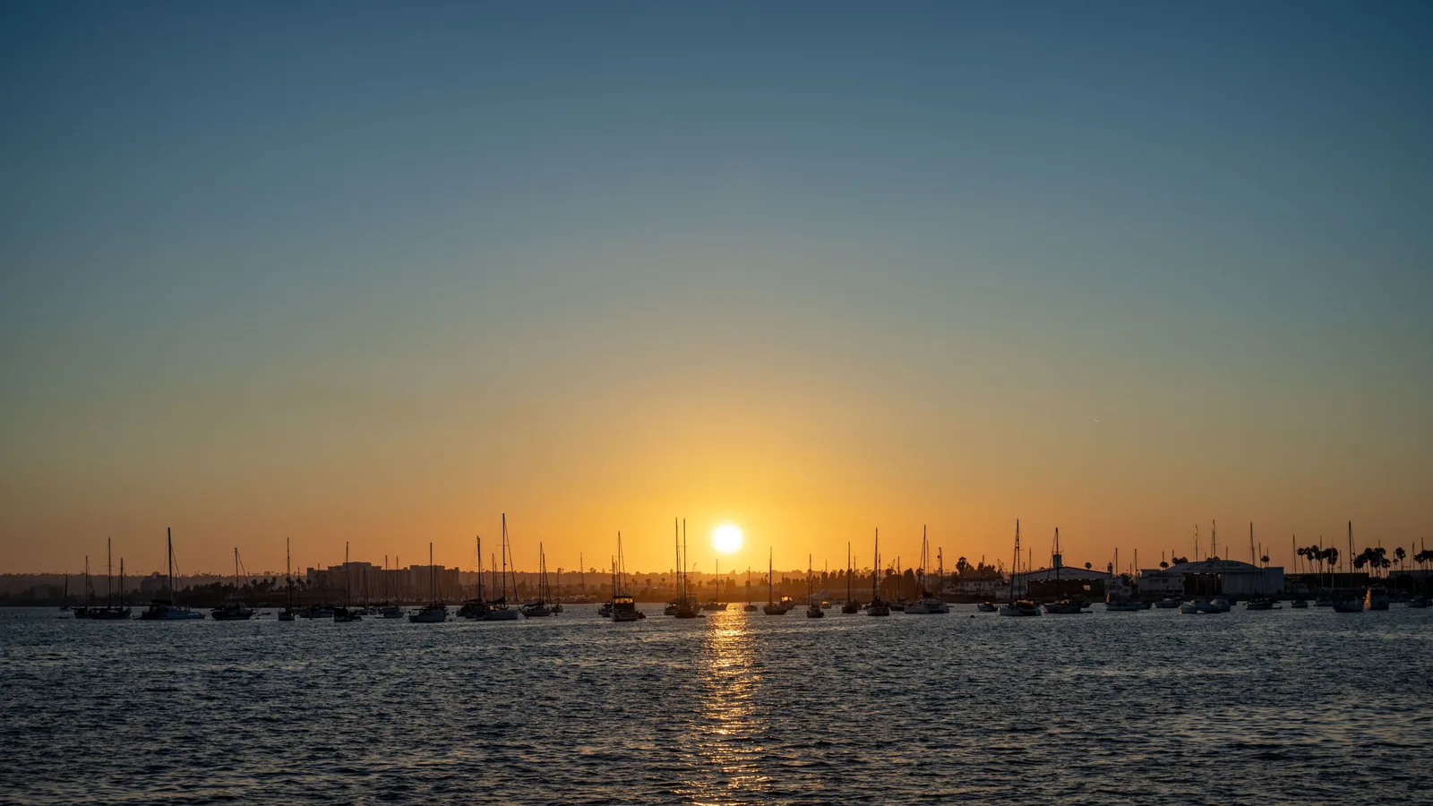 Low sun over a harbor crowded with anchored sailboats, casting a bright reflection across rippled water.