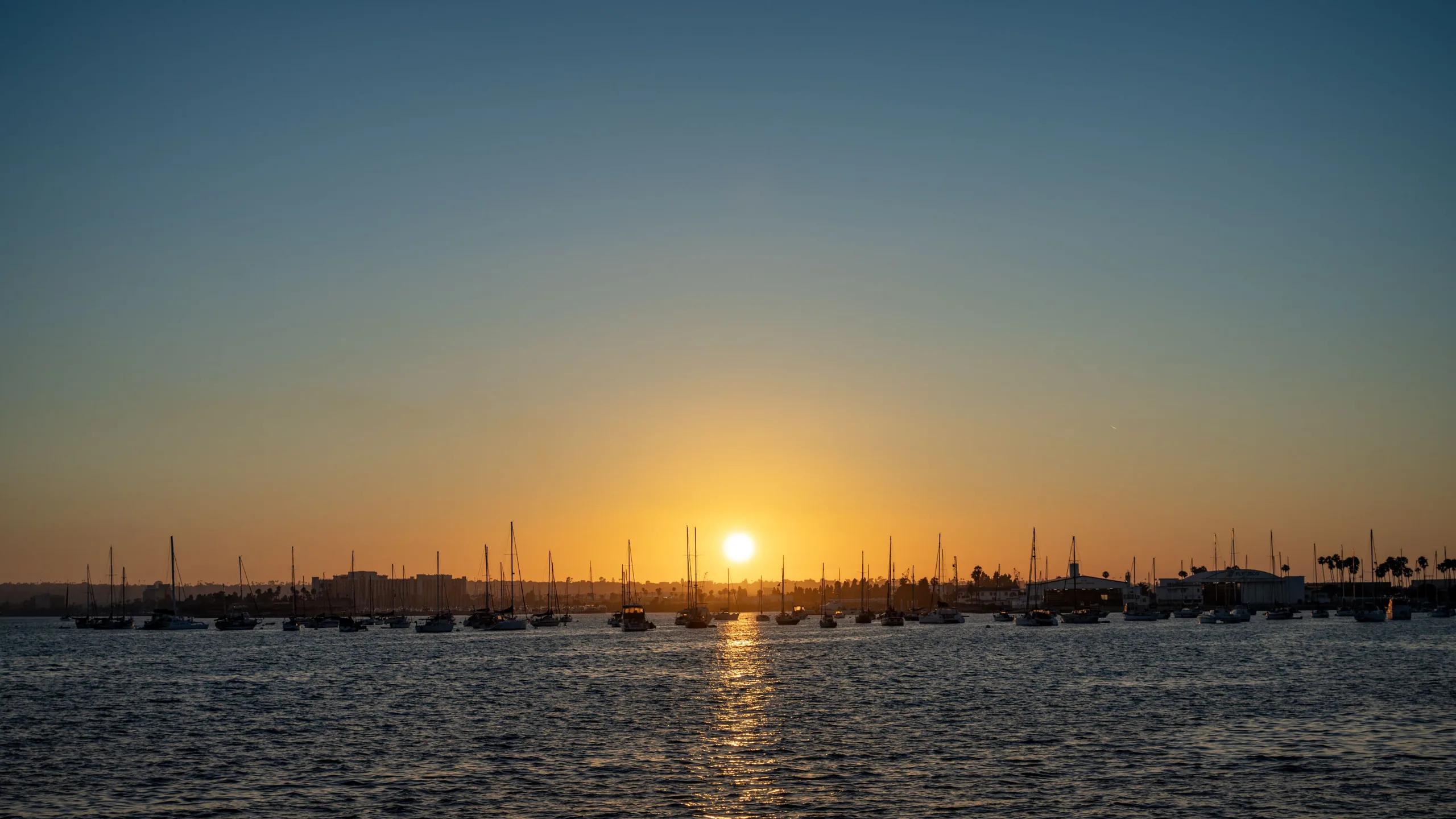 Low sun over a harbor crowded with anchored sailboats, casting a bright reflection across rippled water.