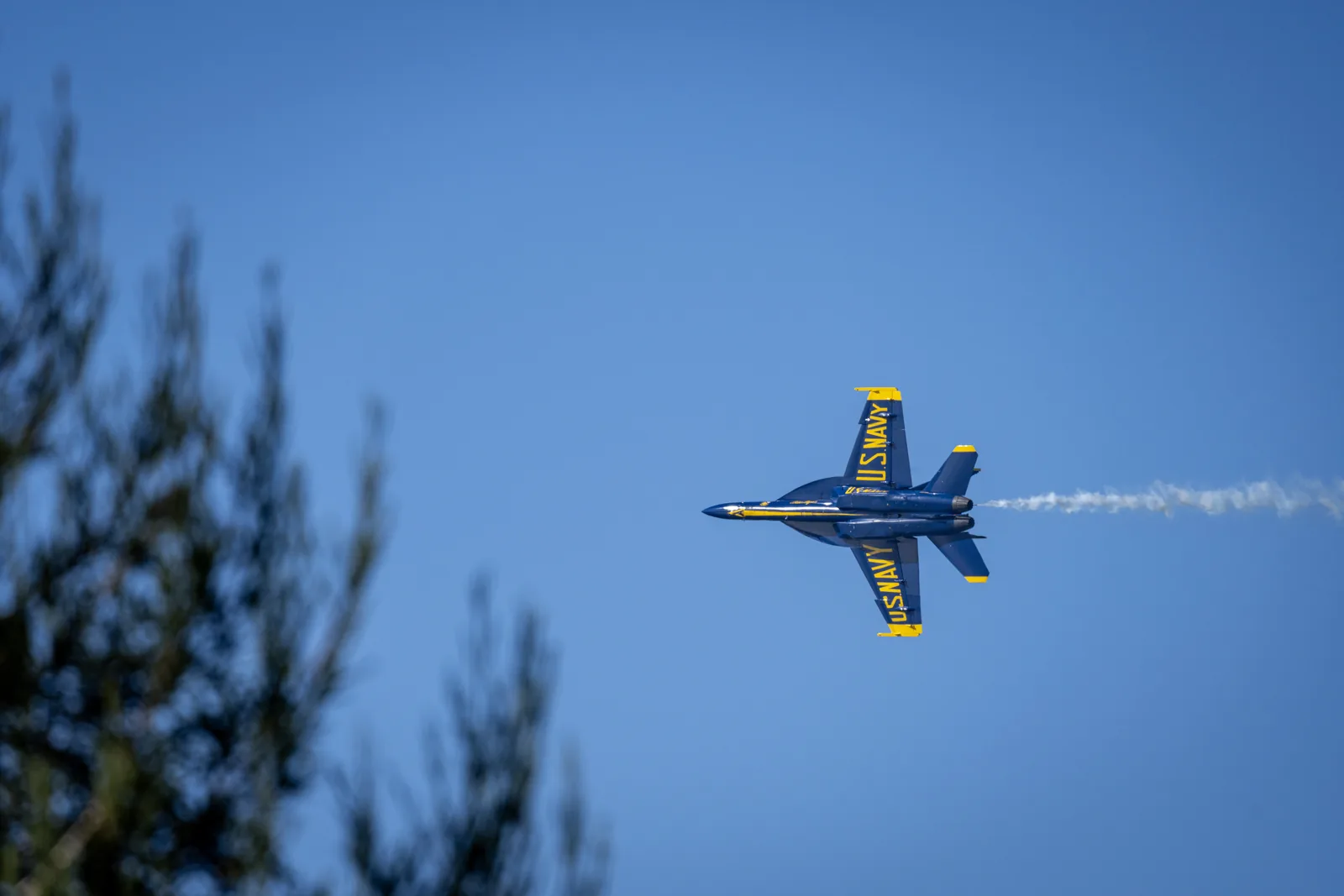 A Blue Angels jet passes through the sky beside the dark edge of a tree.