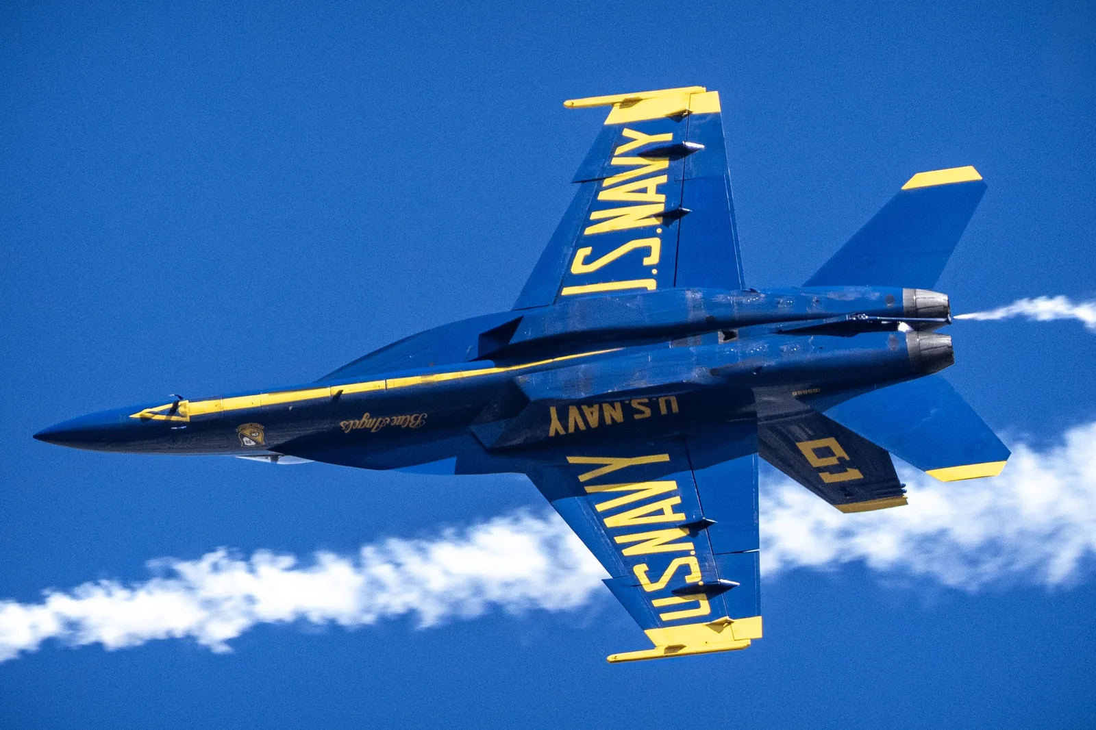 Blue Angels jet No. 5 passes overhead with its U.S. Navy underside markings visible.