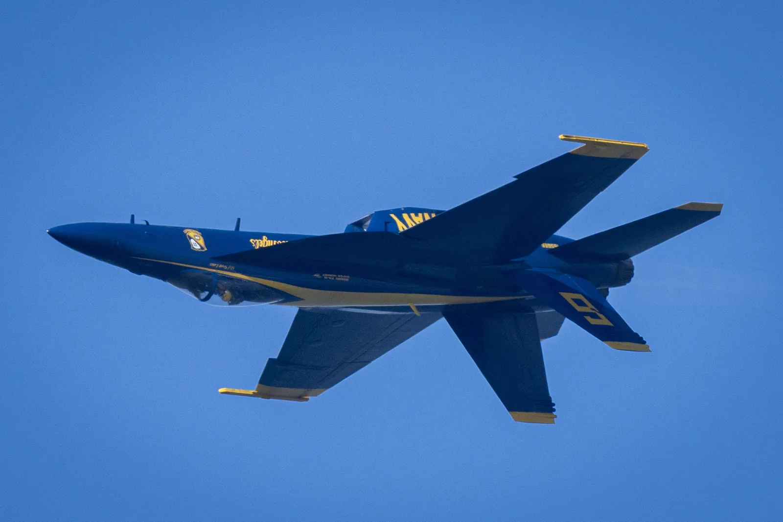 A close Blue Angels jet fills the frame, with blue and gold markings visible on its fuselage.