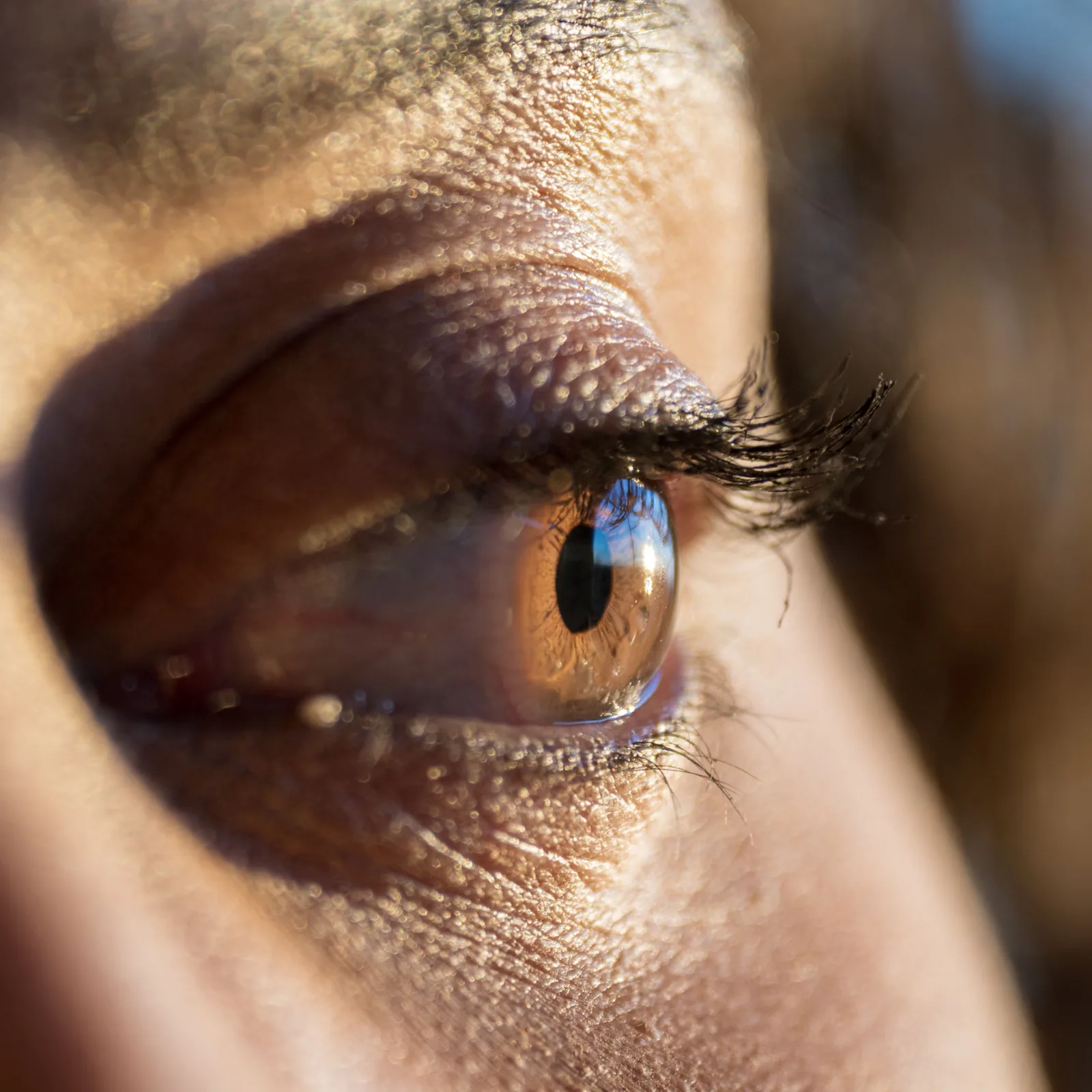 Extreme close-up of a brown human eye with sharply visible eyelashes, eyelid texture, and a blue reflection in the cornea.
