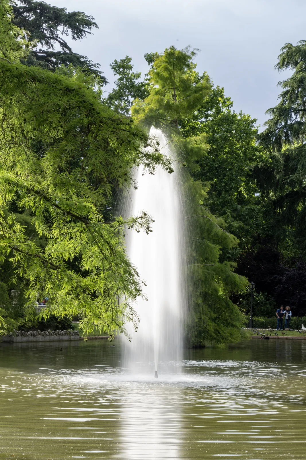 Tall fountain sprays from a pond surrounded by dense trees, with two people and birds visible along the far bank.