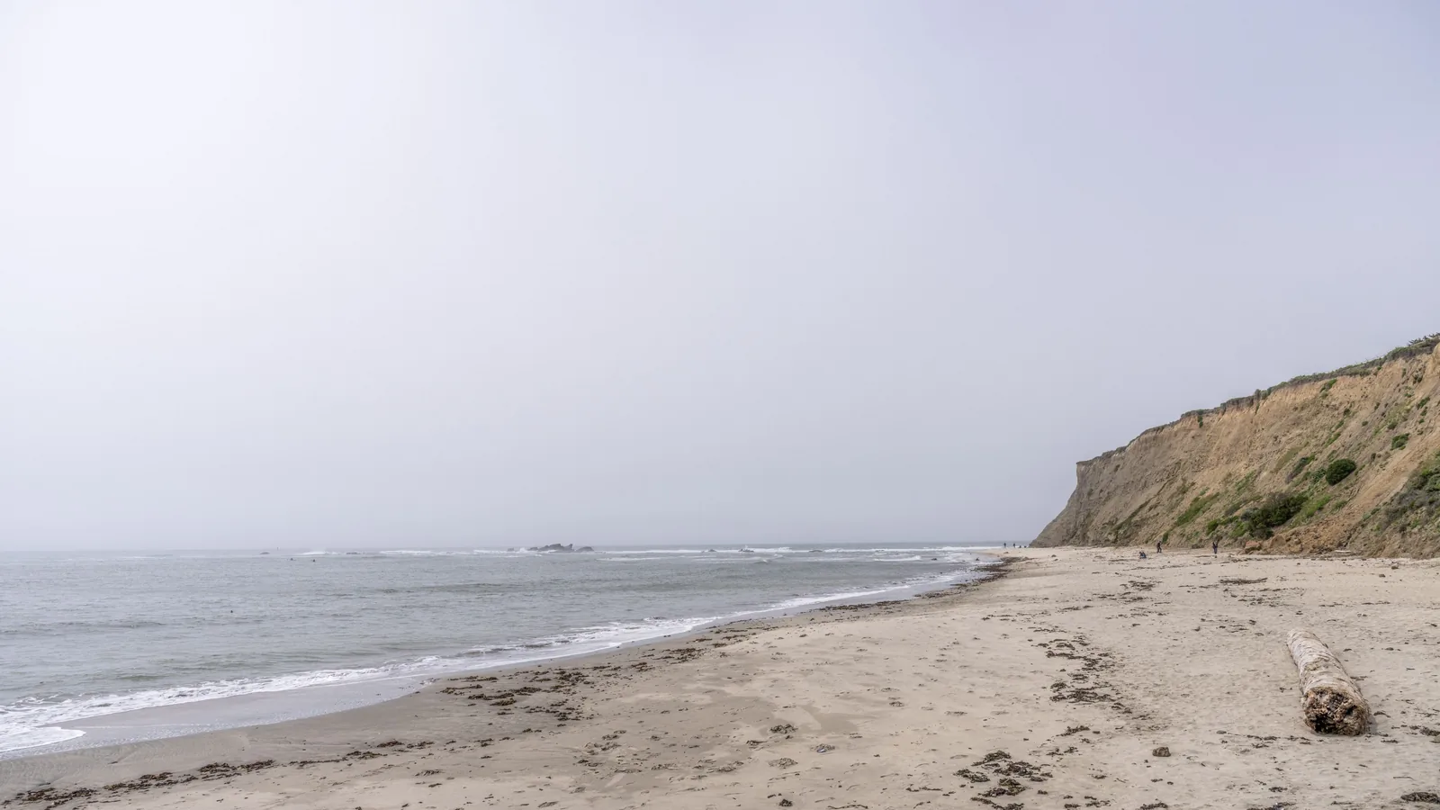 Sandy beach curving toward an eroded coastal bluff beside calm water, offshore rocks, seaweed, and a large log in the foreground.