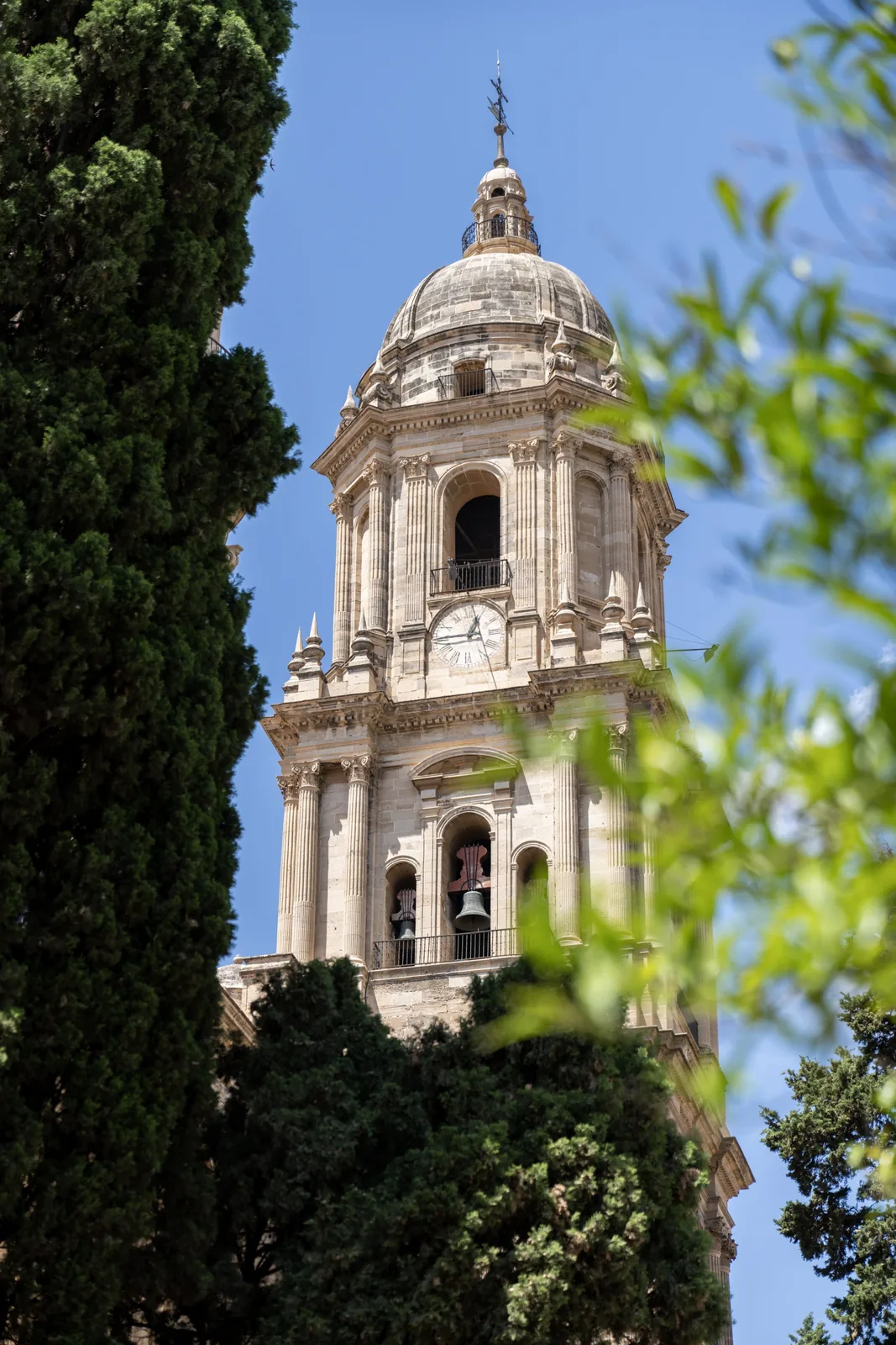 Ornate stone bell tower with a clock, dome, and visible bells rises between dark trees and blurred leafy branches against blue sky.