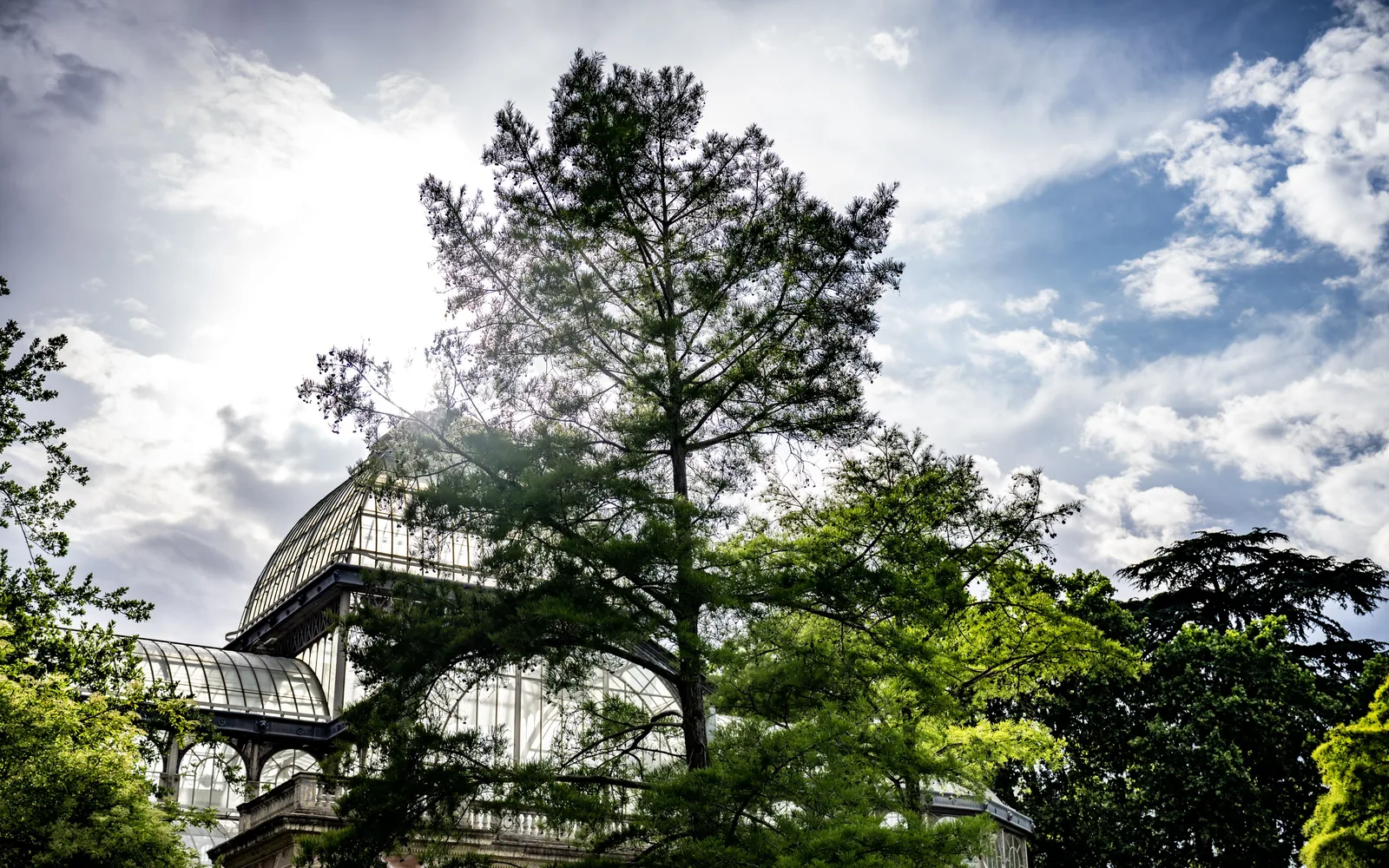 Glass-and-metal conservatory rises behind tall trees and dense foliage beneath a bright sky with scattered clouds.