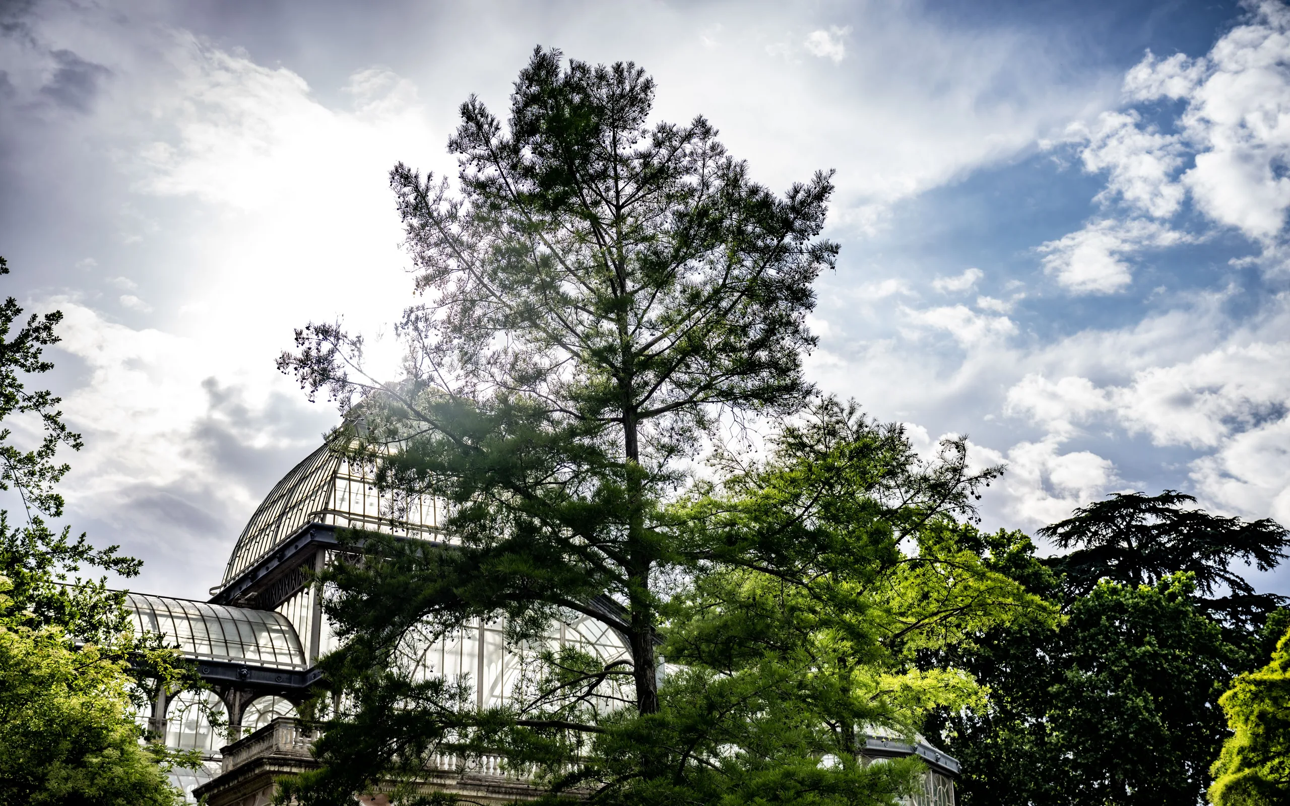Glass-and-metal conservatory rises behind tall trees and dense foliage beneath a bright sky with scattered clouds.