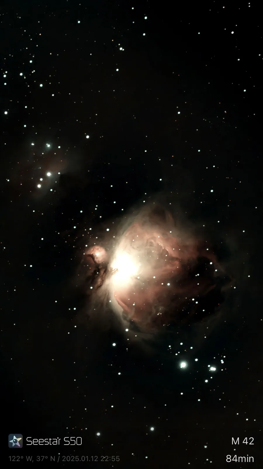 The glowing Orion Nebula appears near the lower center of a vertically framed star field filled with scattered stars.